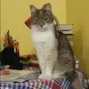 Отзыв от Прасковья Борисова